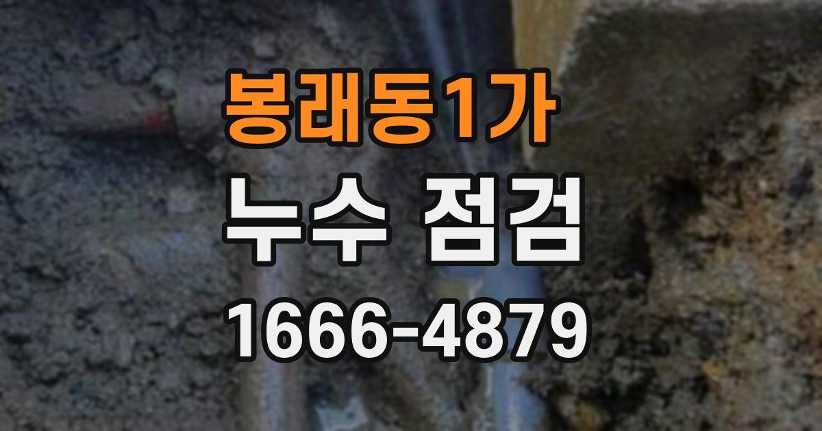 봉래동1가 누수 점검