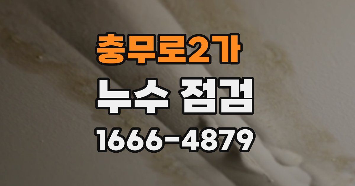 충무로2가 누수 점검