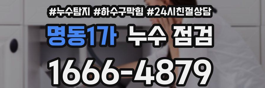 명동1가 누수 점검