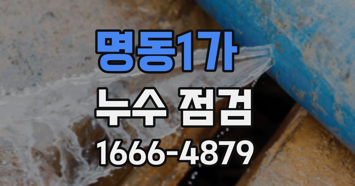 명동1가 누수 점검