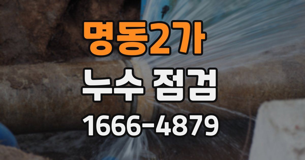 명동2가 누수 점검