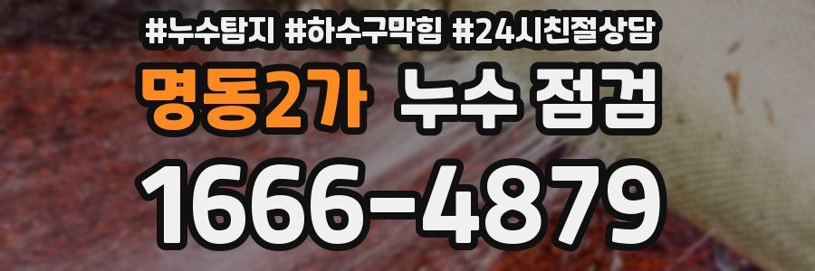 명동2가 누수 점검