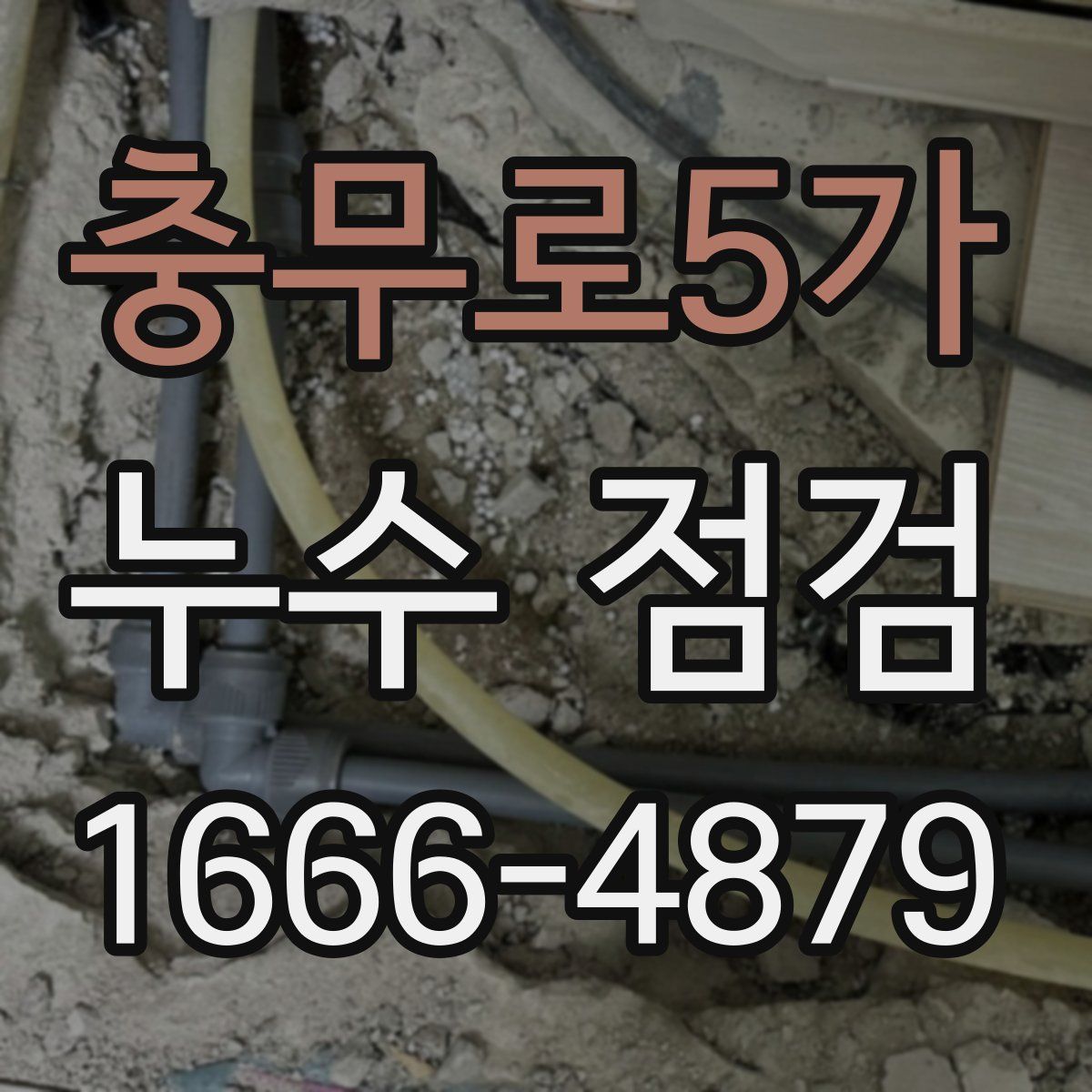 충무로5가 누수 점검