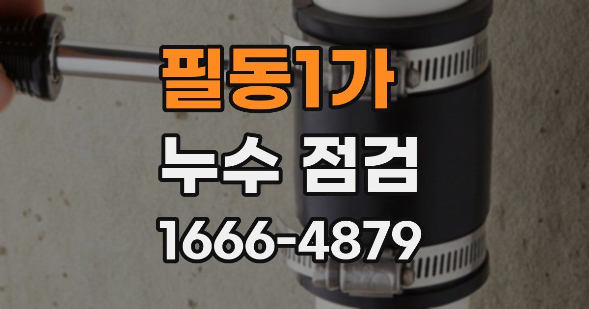 필동1가 누수 점검