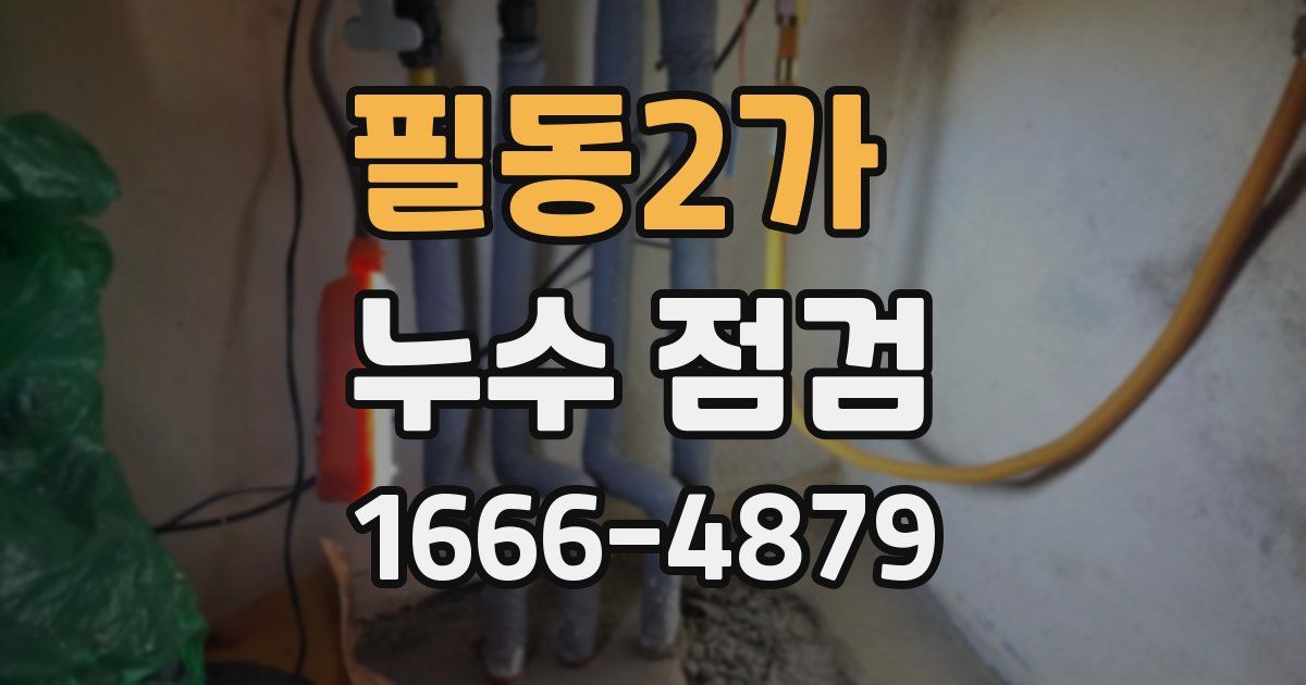 필동2가 누수 점검