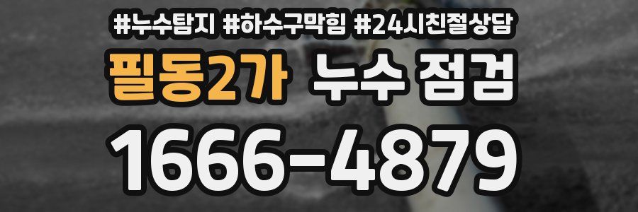 필동2가 누수 점검