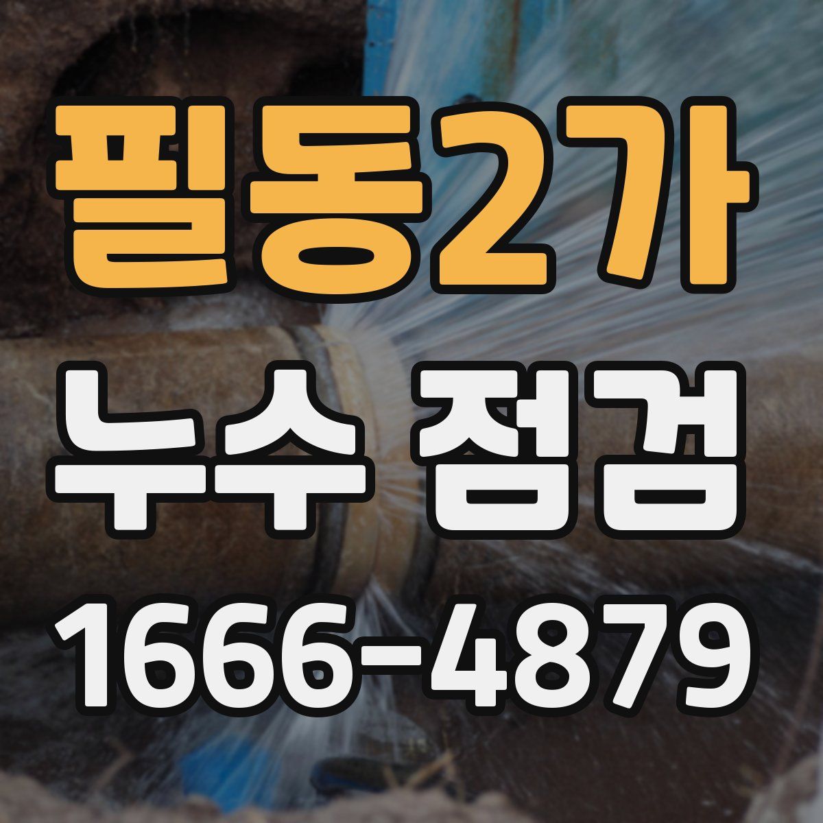 필동2가 누수 점검