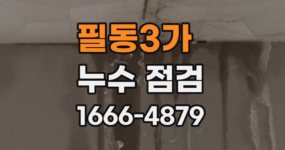 필동3가 누수 점검