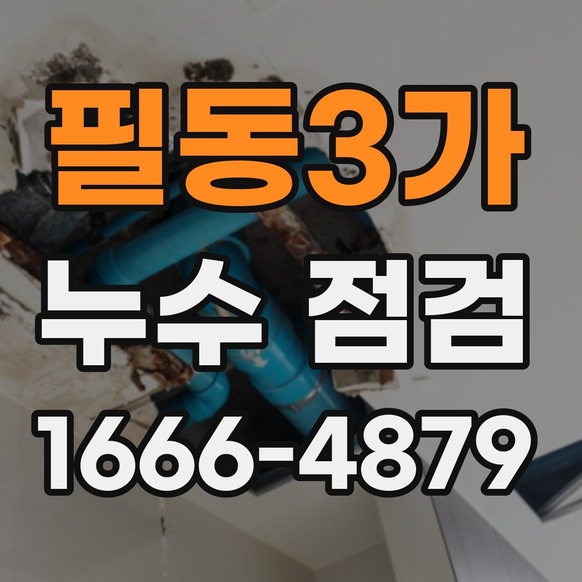 필동3가 누수 점검