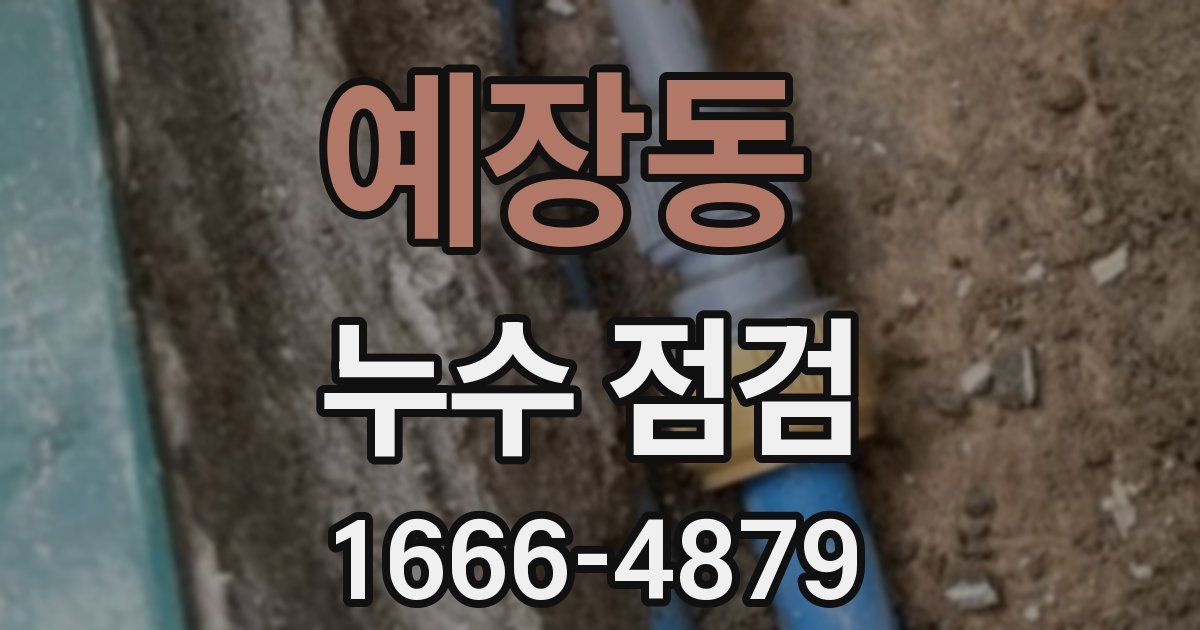 예장동 누수 점검