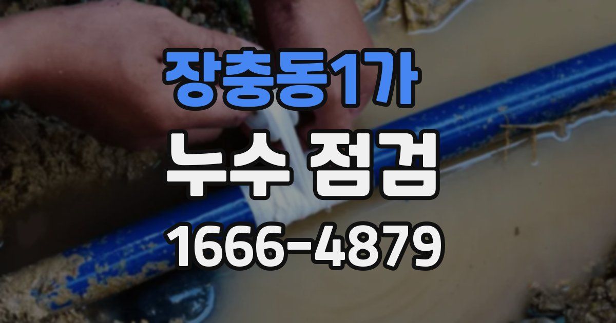 장충동1가 누수 점검