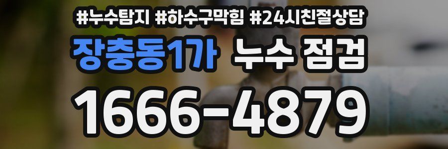 장충동1가 누수 점검