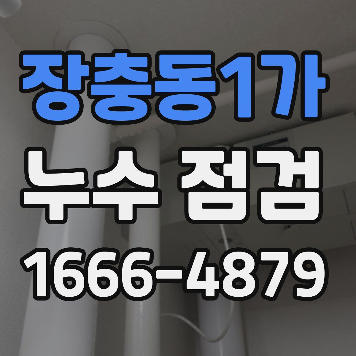 장충동1가 누수 점검