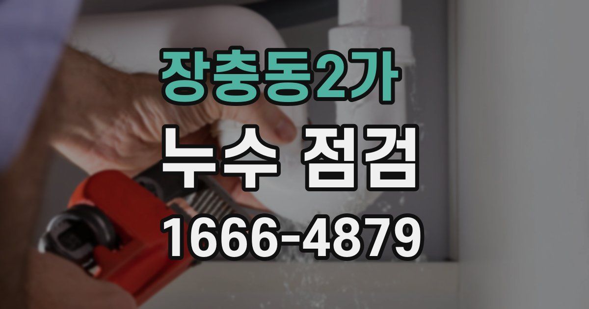 장충동2가 누수 점검