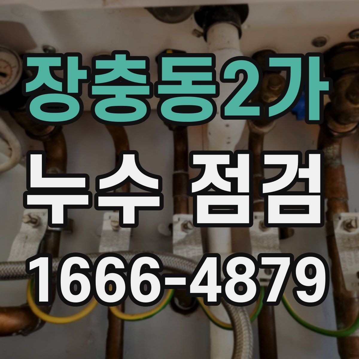 장충동2가 누수 점검