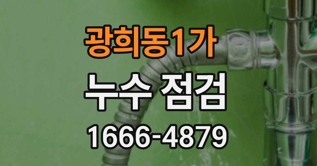 광희동1가 누수 점검