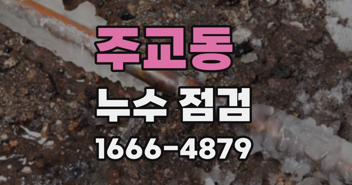 주교동 누수 점검