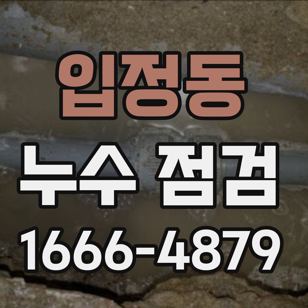 입정동 누수 점검