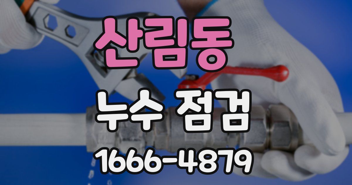 산림동 누수 점검