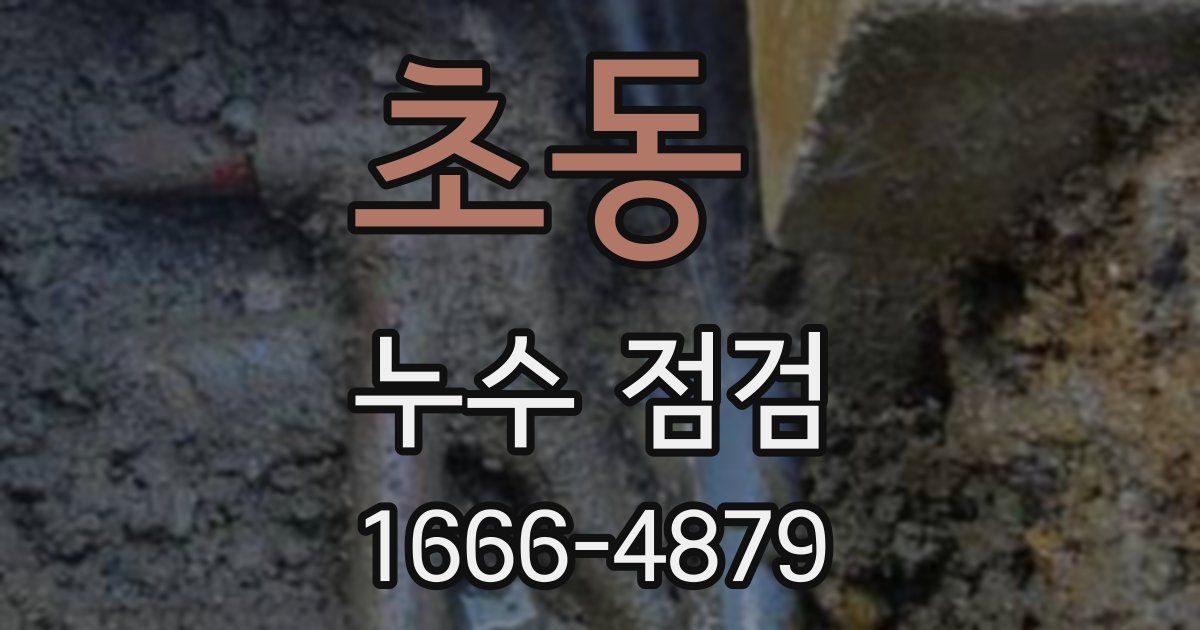 초동 누수 점검
