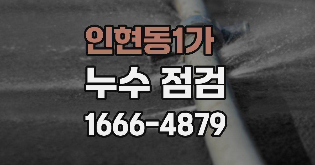 인현동1가 누수 점검