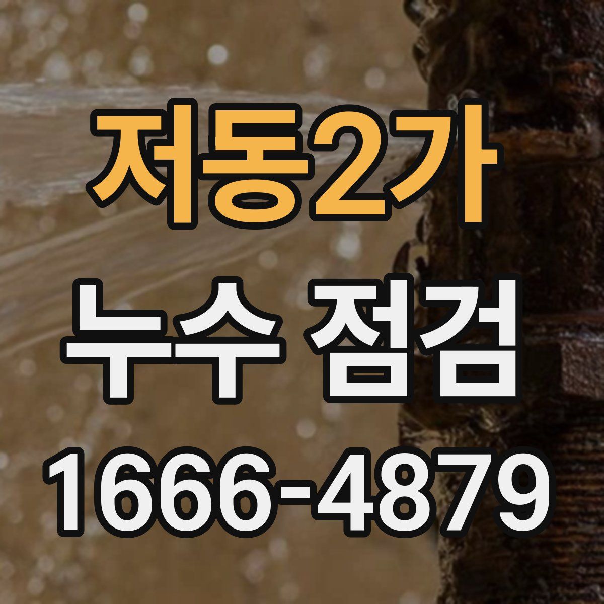 저동2가 누수 점검
