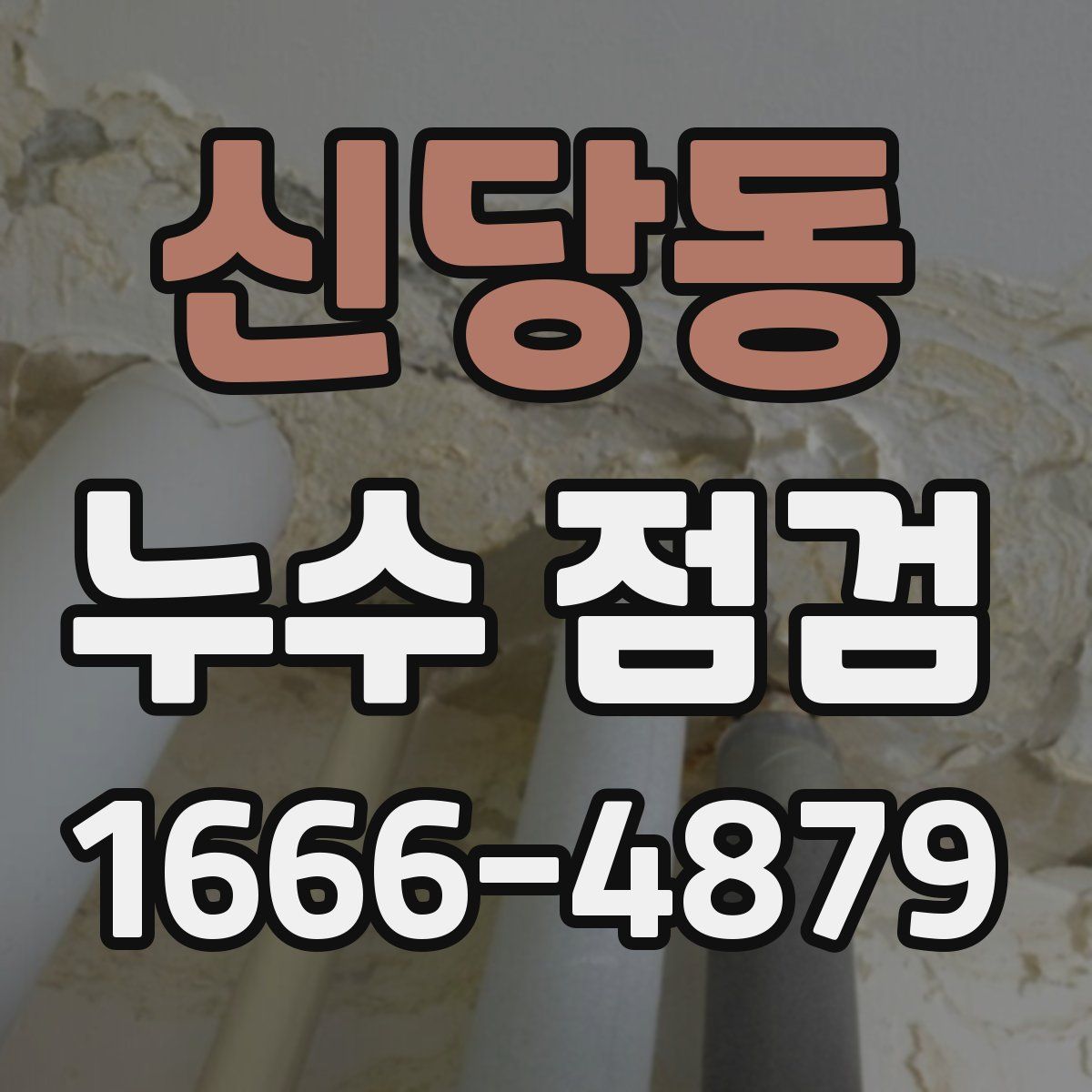 신당동 누수 점검