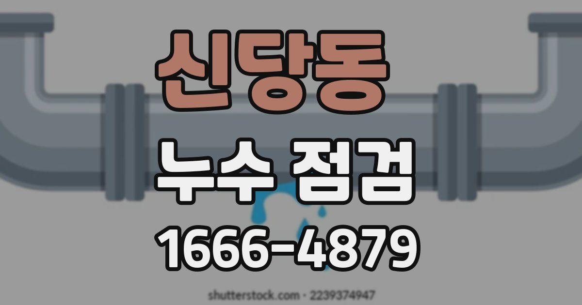 신당동 누수 점검