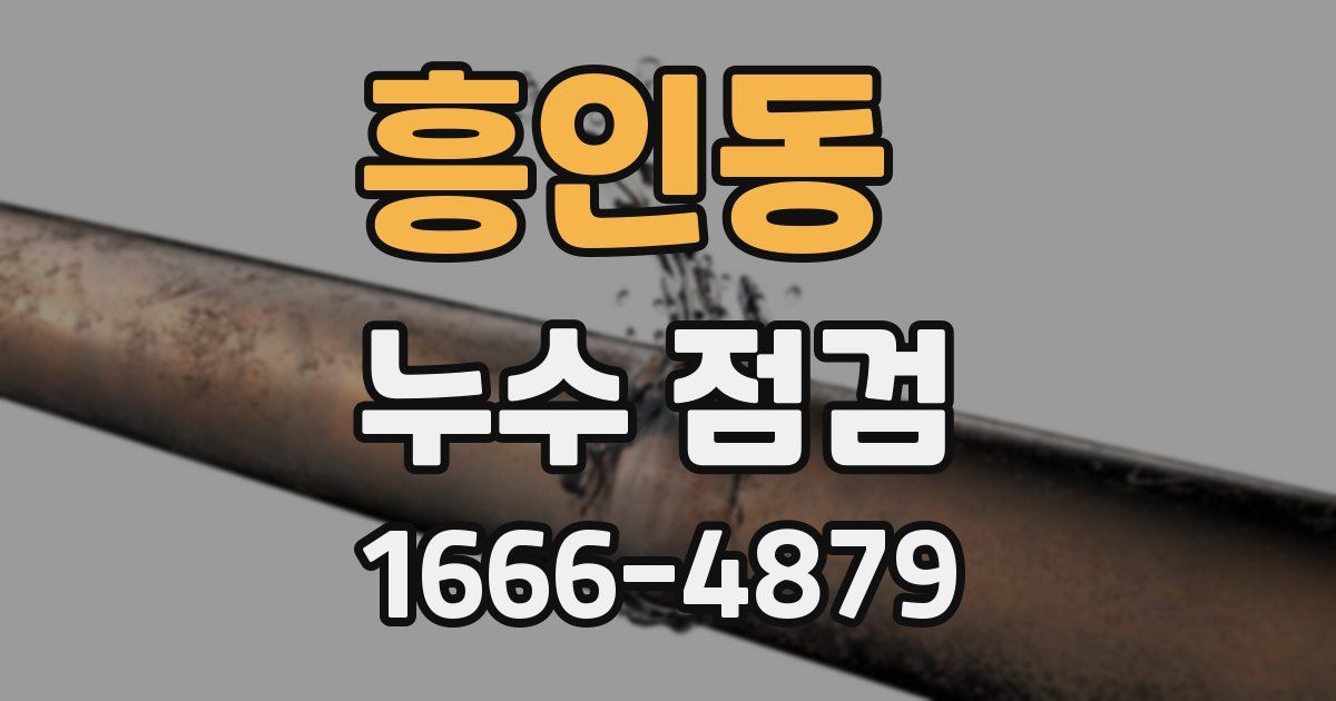흥인동 누수 점검