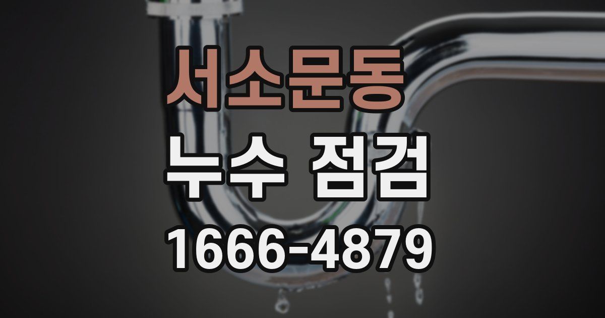 서소문동 누수 점검