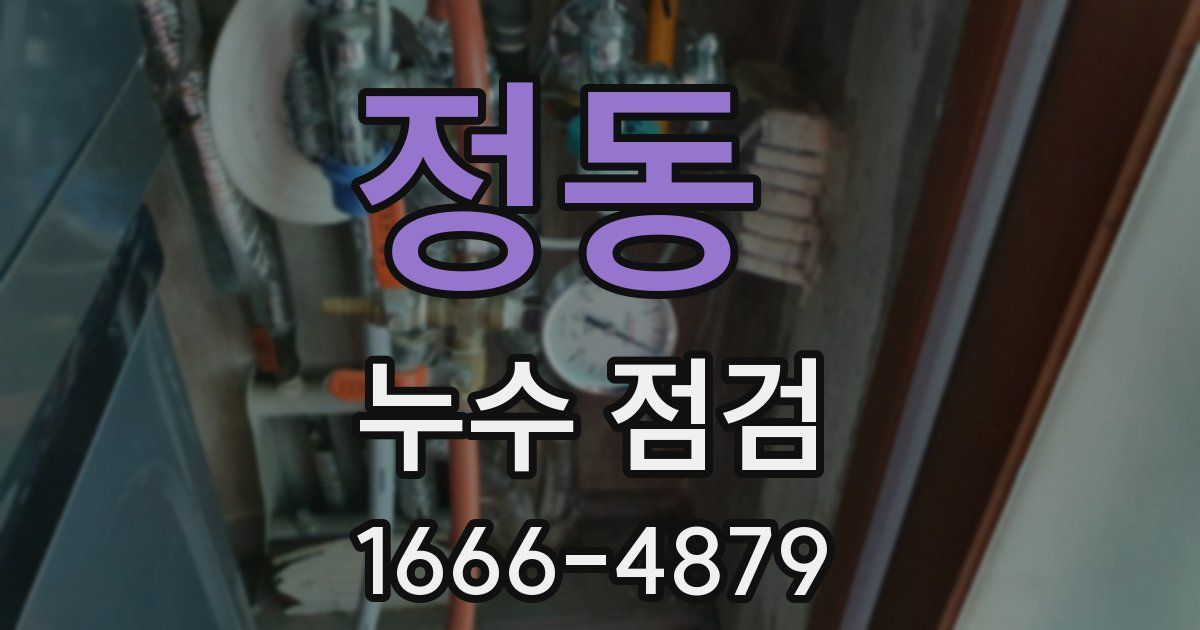 정동 누수 점검