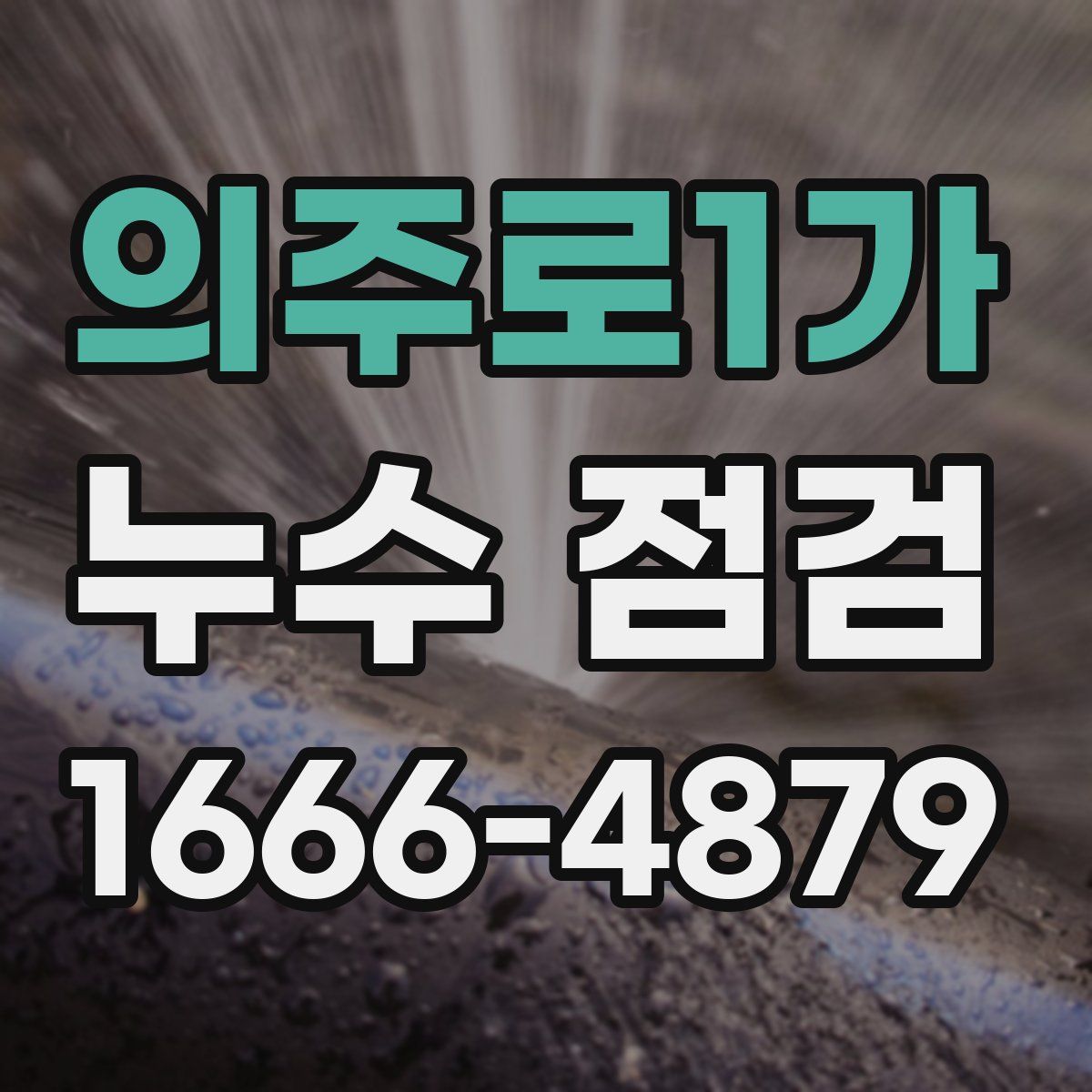 의주로1가 누수 점검