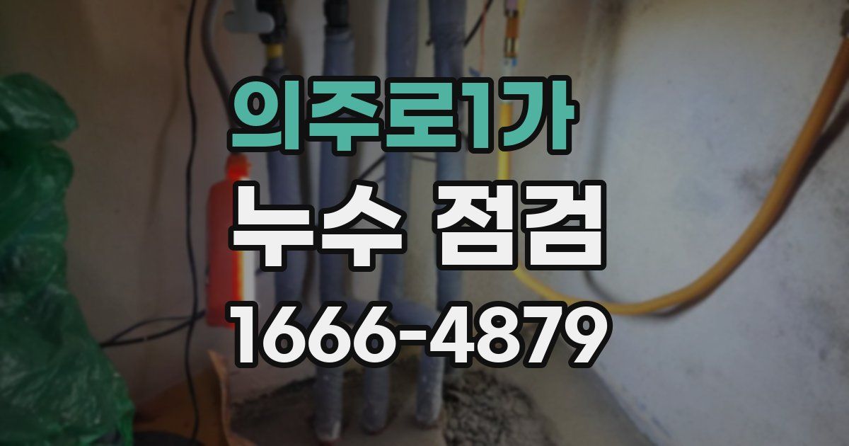 의주로1가 누수 점검