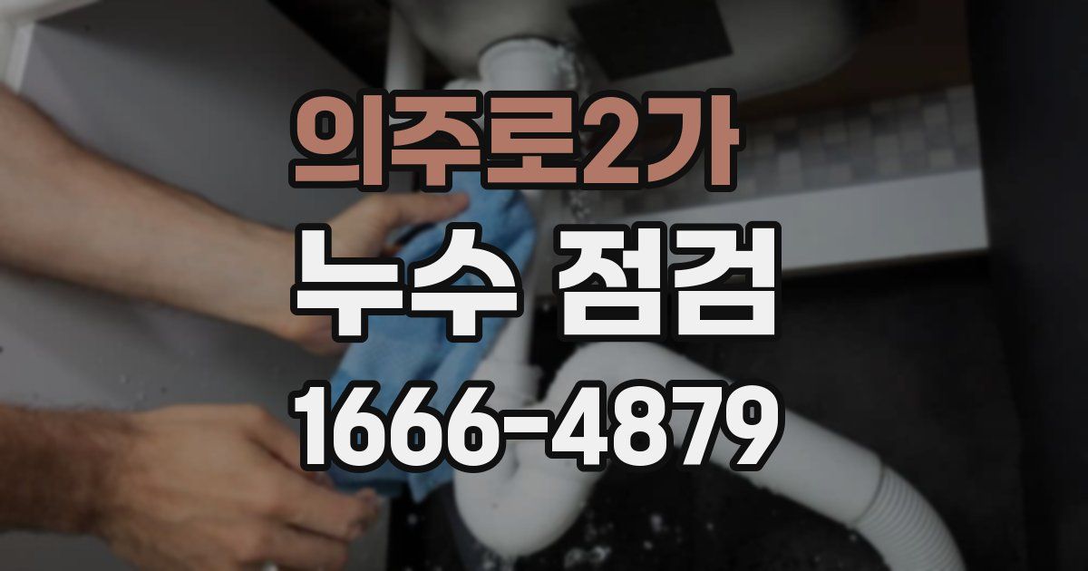 의주로2가 누수 점검