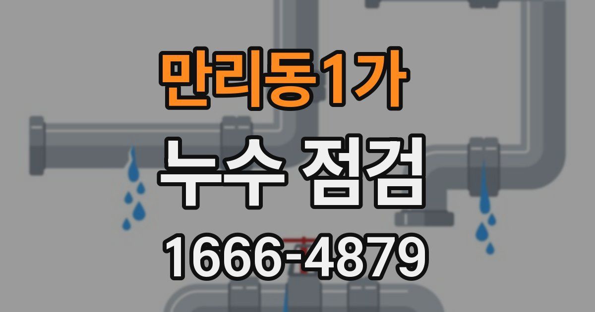 만리동1가 누수 점검
