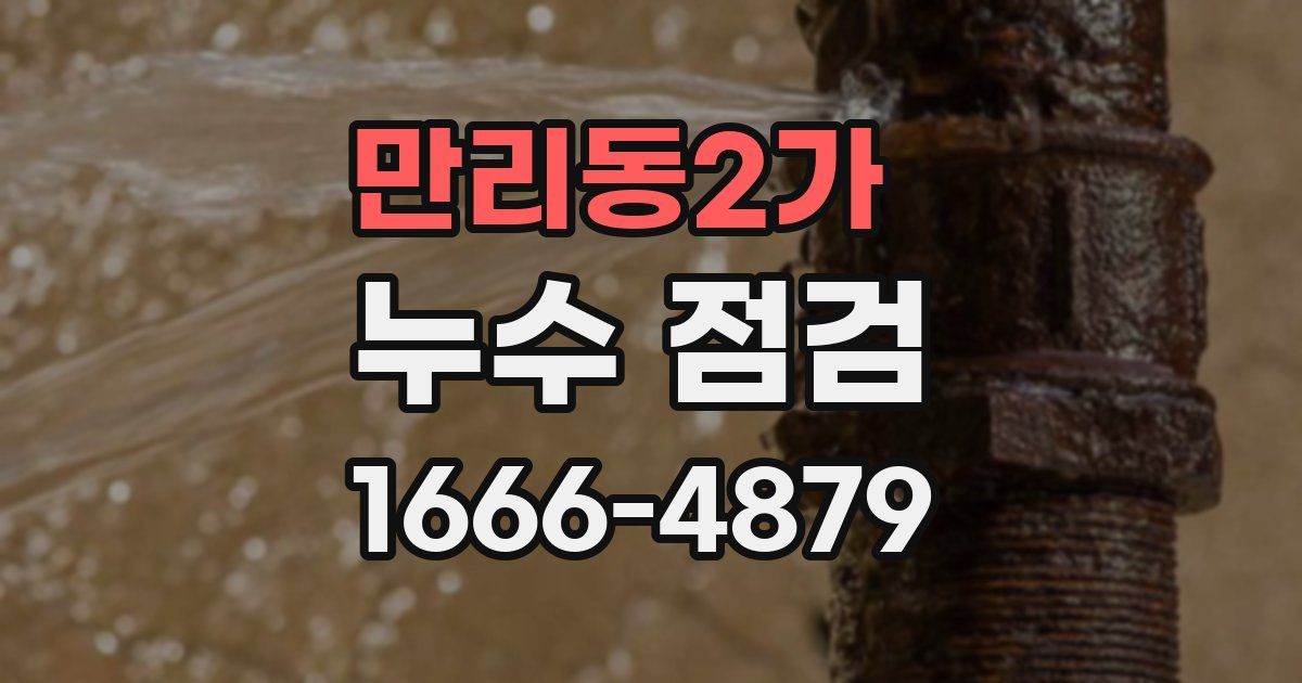 만리동2가 누수 점검