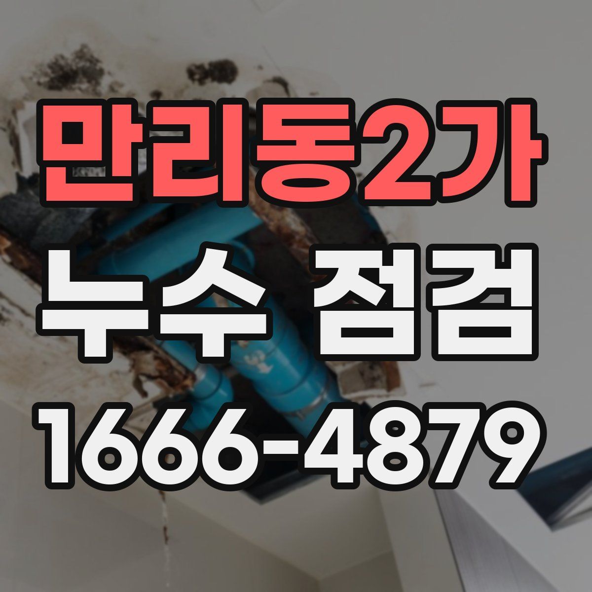 만리동2가 누수 점검