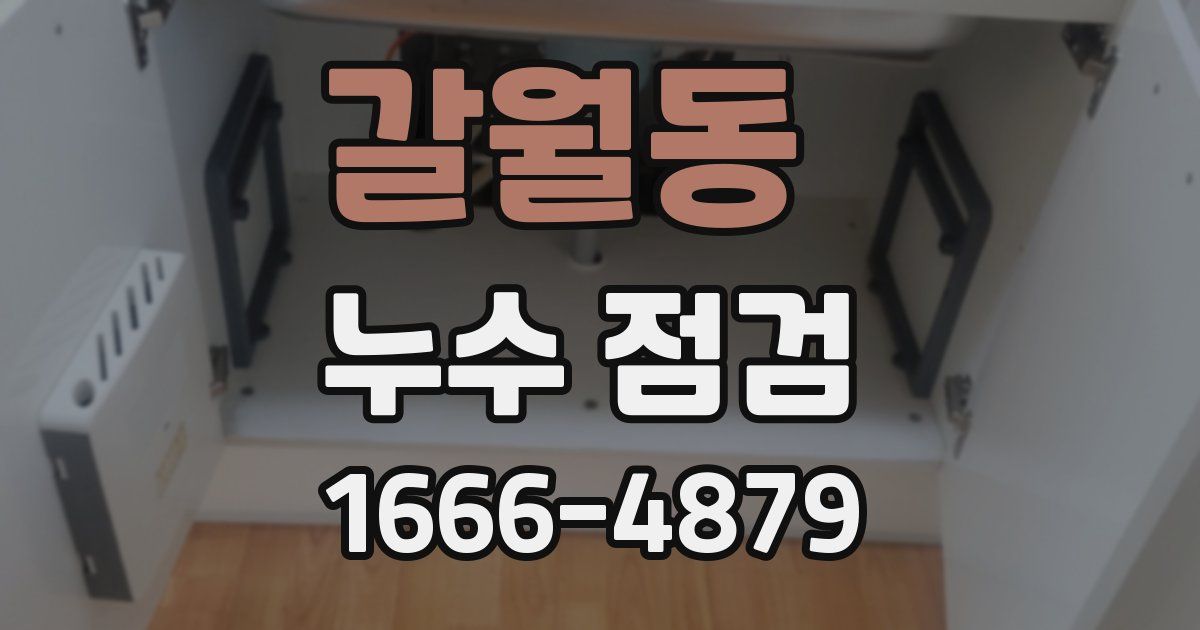 갈월동 누수 점검