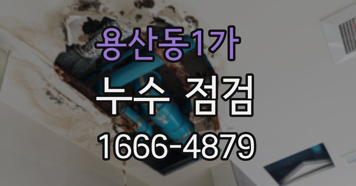 용산동1가 누수 점검