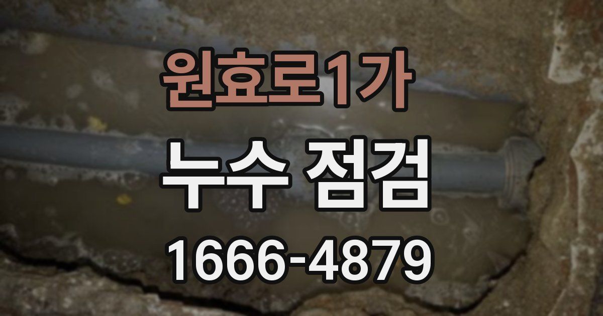 원효로1가 누수 점검