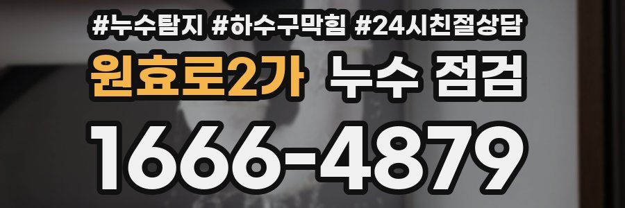원효로2가 누수 점검