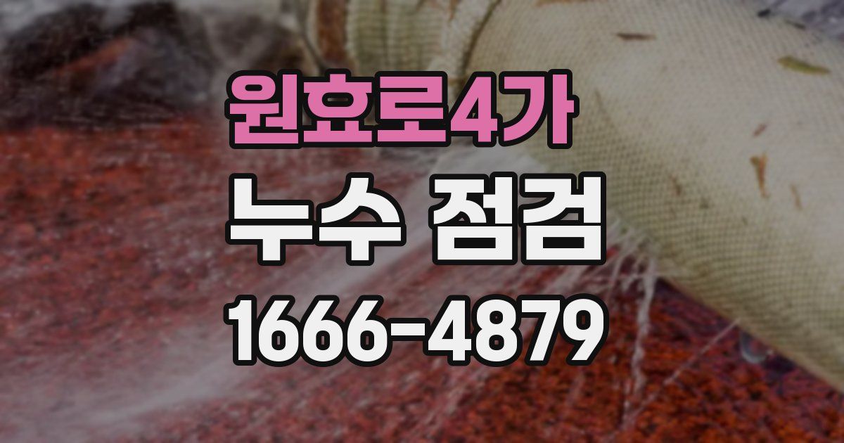 원효로4가 누수 점검