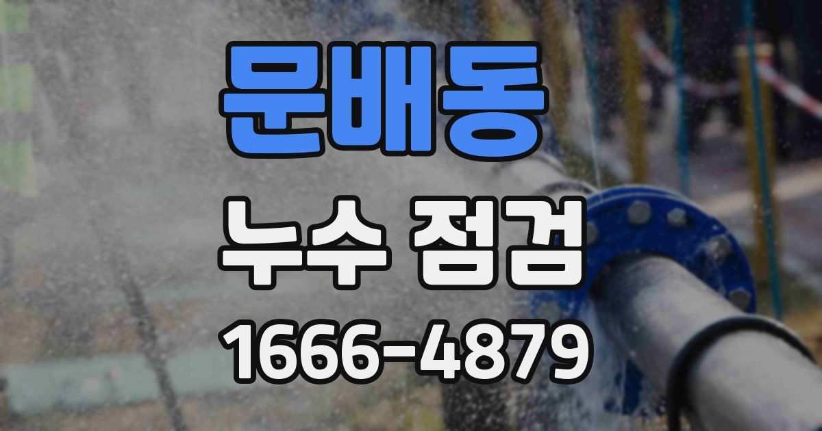 문배동 누수 점검