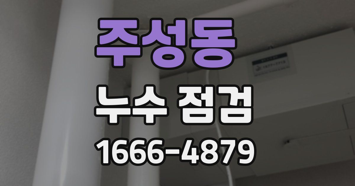 주성동 누수 점검