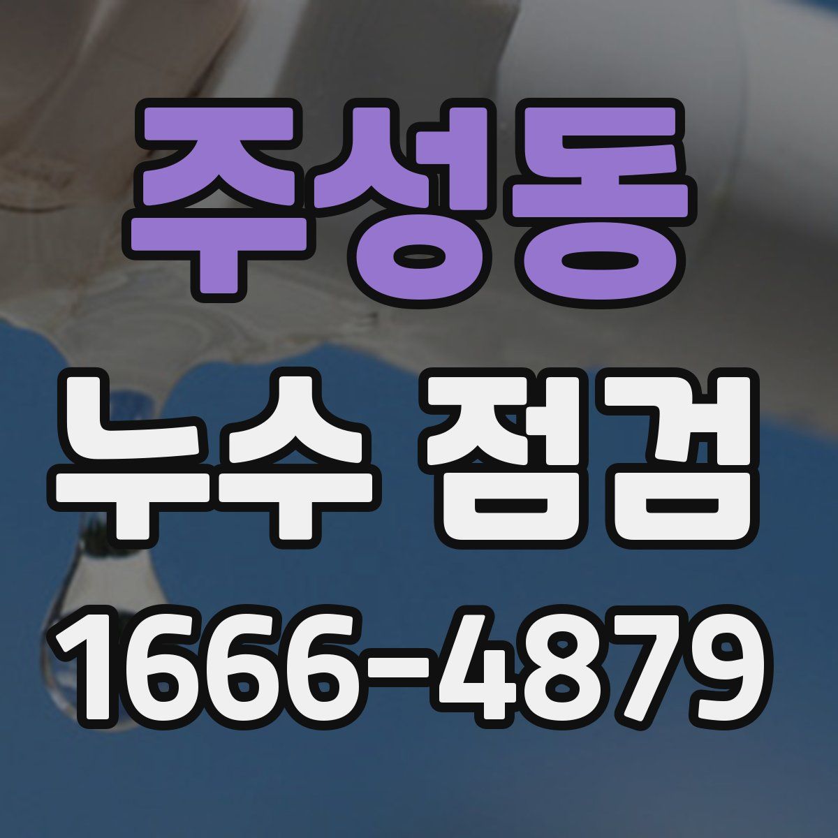 주성동 누수 점검