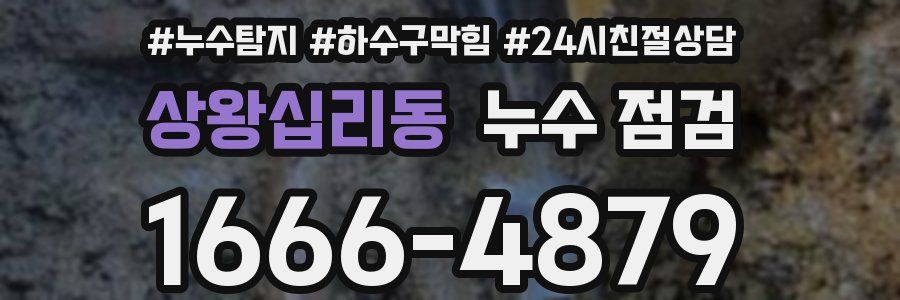 상왕십리동 누수 점검