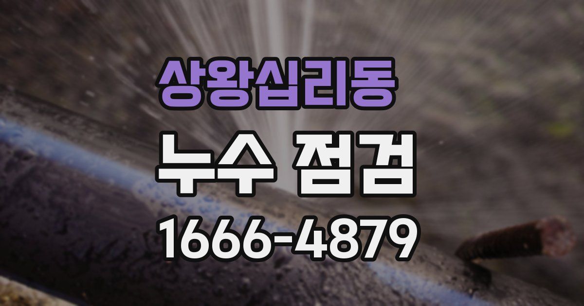 상왕십리동 누수 점검