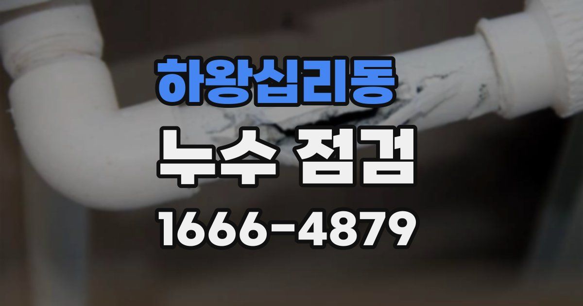 하왕십리동 누수 점검