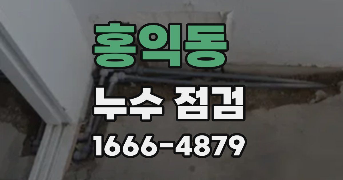 홍익동 누수 점검