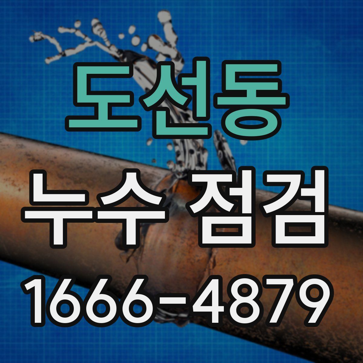 도선동 누수 점검
